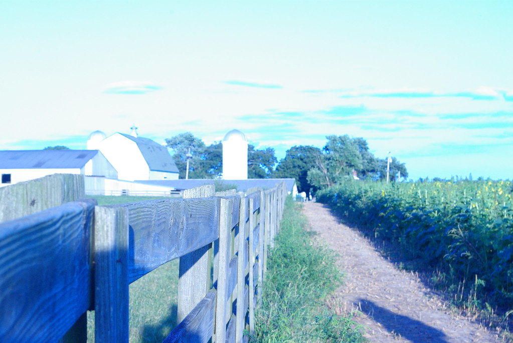 IMGP5128 Kaleb Pirtle Flickr