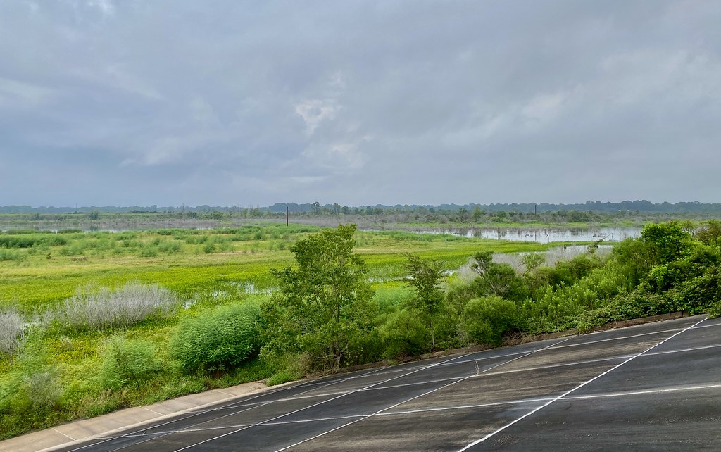 W. Irene Rd. impoundments Habitat shot for eBird list Flickr