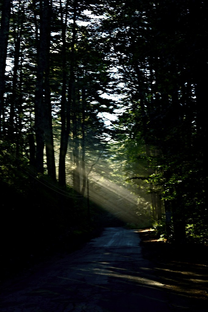 20220823MorningLight0001 Parsonsfield, Maine. Went for a… Flickr