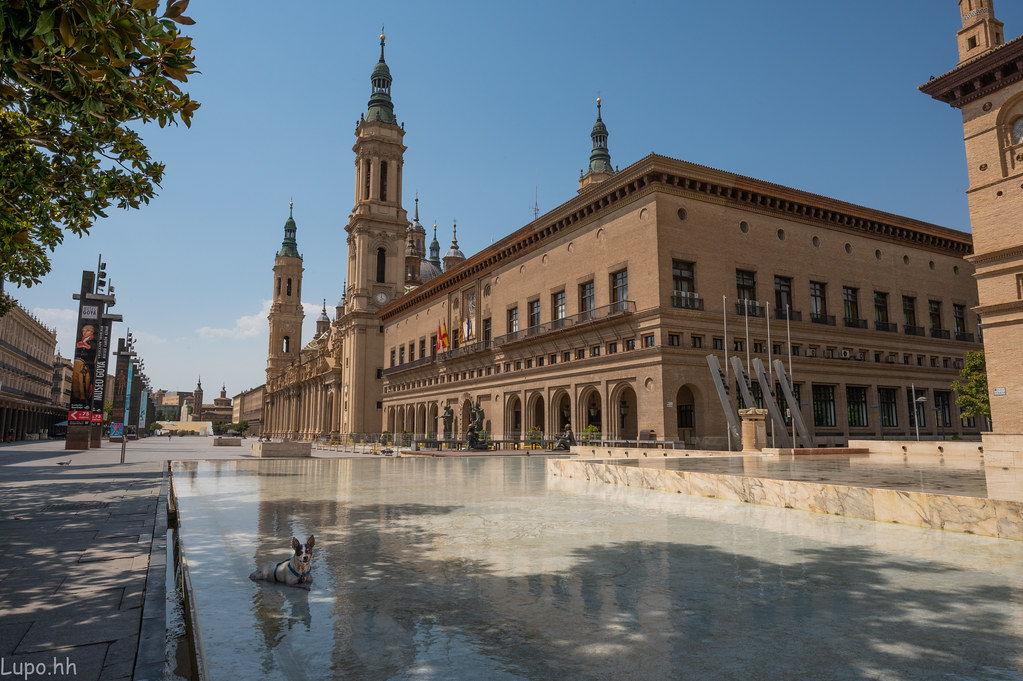 Hot dog Plaza de Nuestra Señora del Pilar, Zaragoza, Spain… Flickr