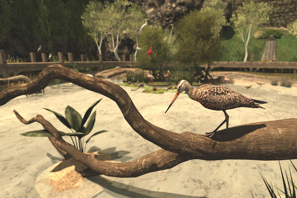 TLC ANIMALS at NatureCon2022 Nature Con Flickr