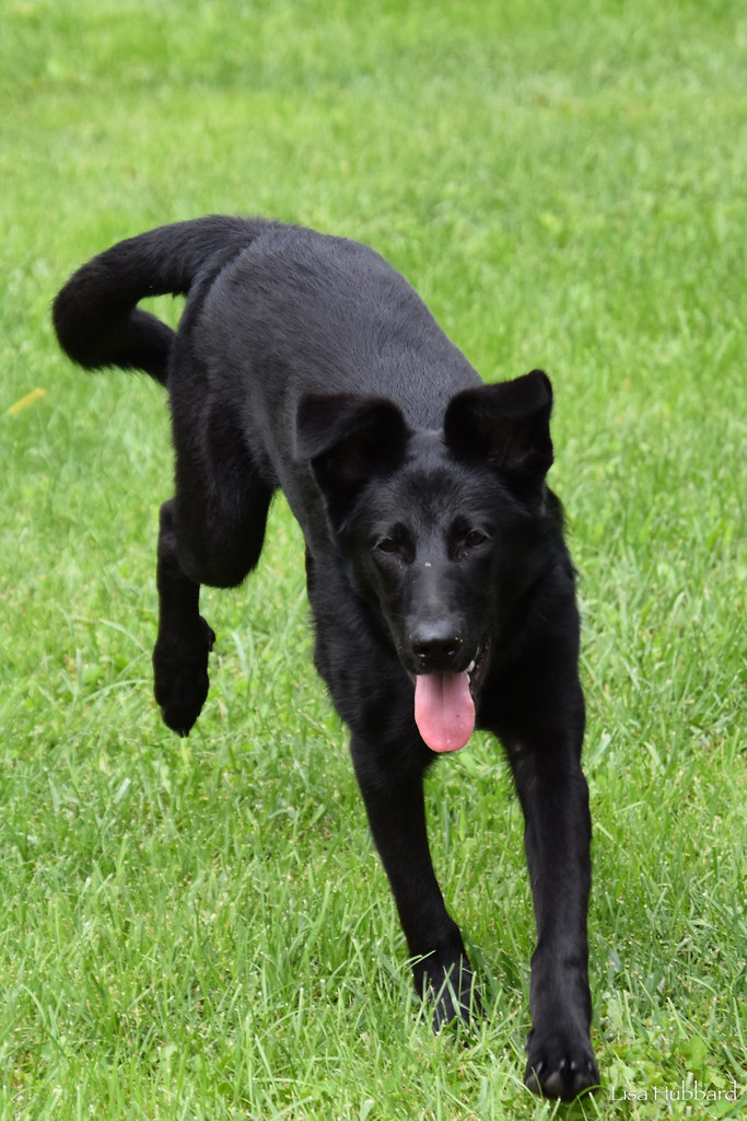 DSC_9844.jpg Lisa Hubbard Flickr