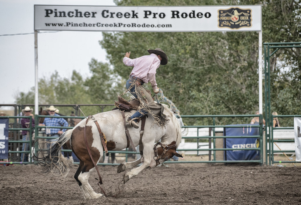 Pincher Creek Rodeo Flickr