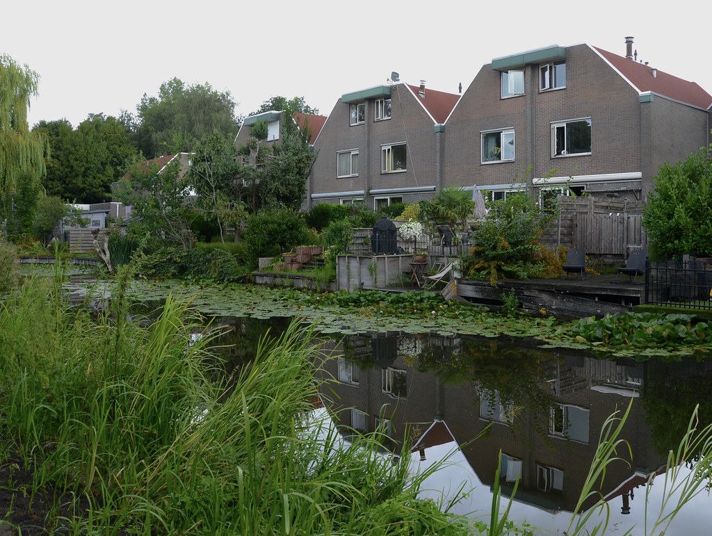 Ámsterdam 2022 Javier Dieguez Flickr