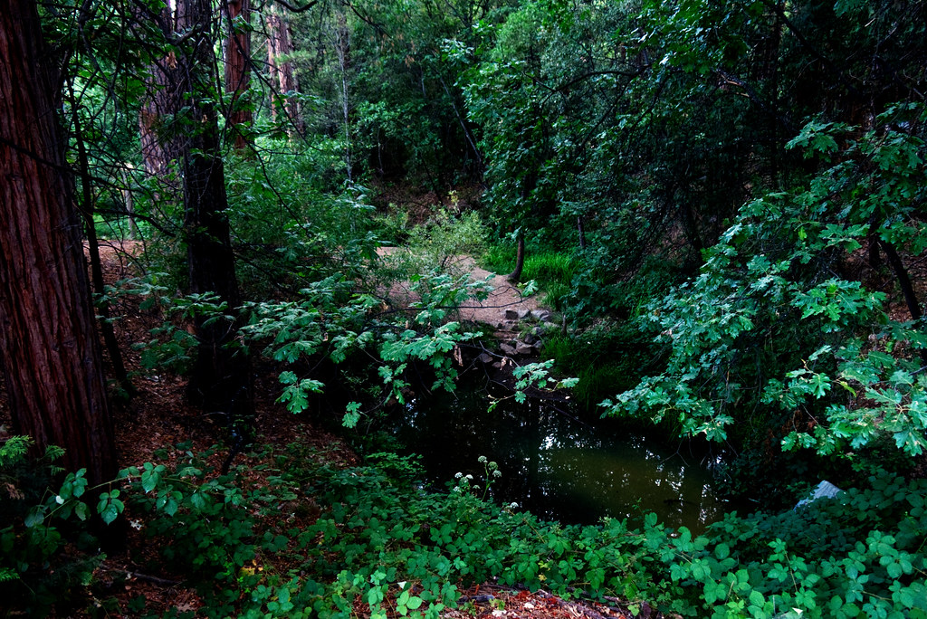 Eproson Park Twain Harte, CA 232/365 Swede1969 Flickr