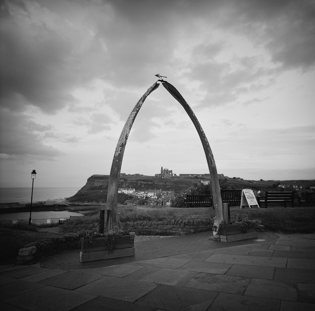 Whale Arch Whitby. Lomography LCA 120 with Ilford XP2. C… Flickr
