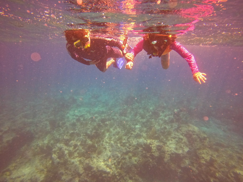 snorkel key largo trip (40) DCIM\100GOPRO\GOPR5589.JPG Flickr