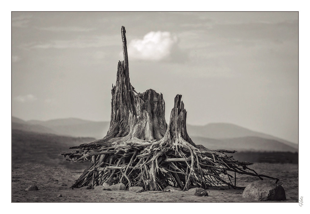 the everchanging landscape 518. Pentax. Thomas Holz Flickr