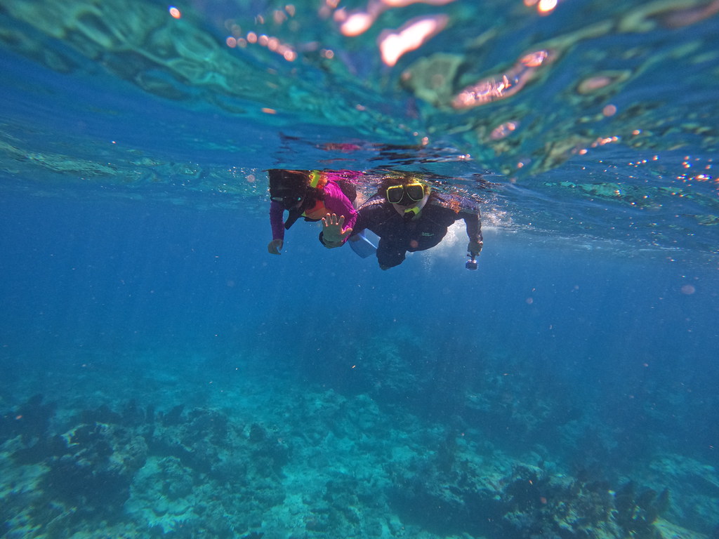 snorkel key largo trip (21) DCIM\100GOPRO\GOPR5569.JPG Flickr