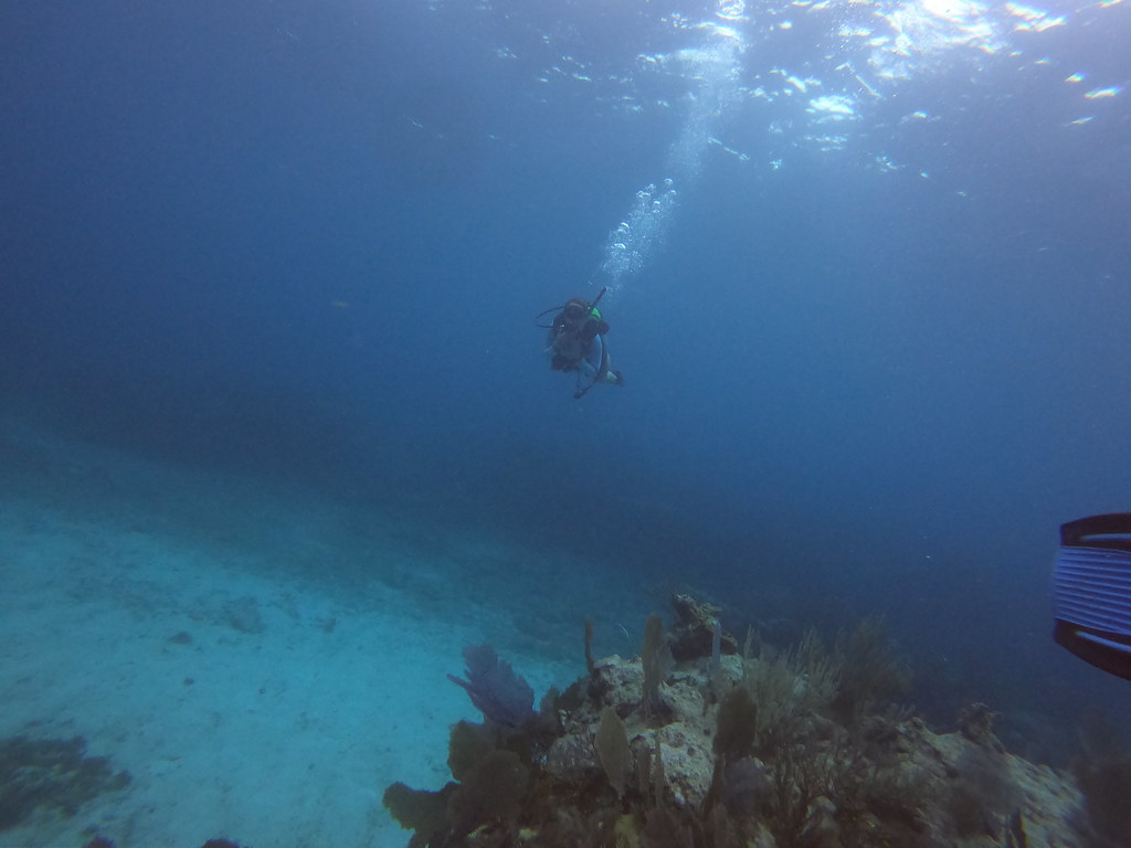 Key Largo Dive Shop t (34) DCIM\100GOPRO\GOPR0084.JPG Flickr