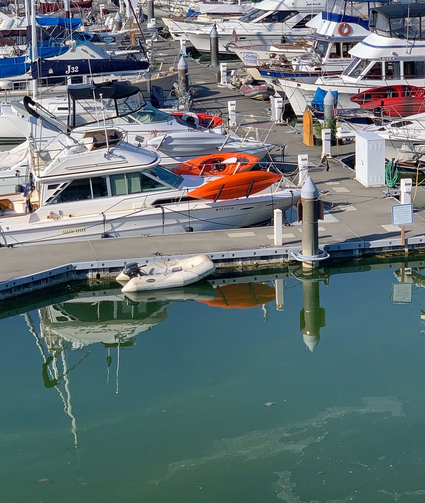 Marina, Everett, Washington Curtis Cronn Flickr