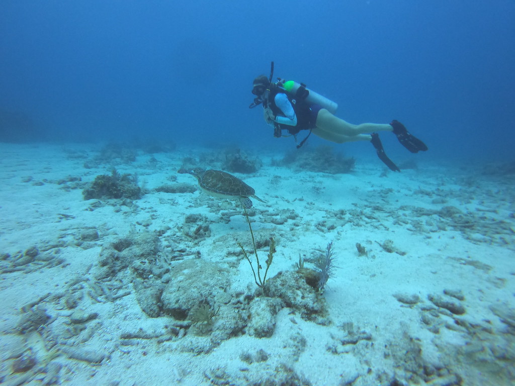 Key Largo Dive Shop t (41) DCIM\100GOPRO\GOPR0092.JPG Flickr