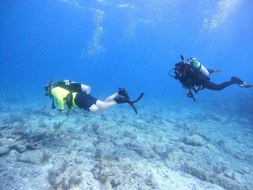key largo dive shop l (19) DCIM\100GOPRO\GOPR1028.JPG Flickr