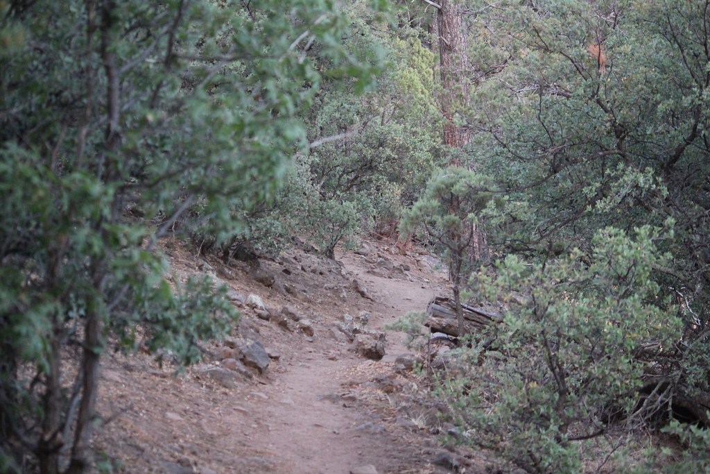 Show Low Lake , Show Low , Arizona David Knaust Flickr