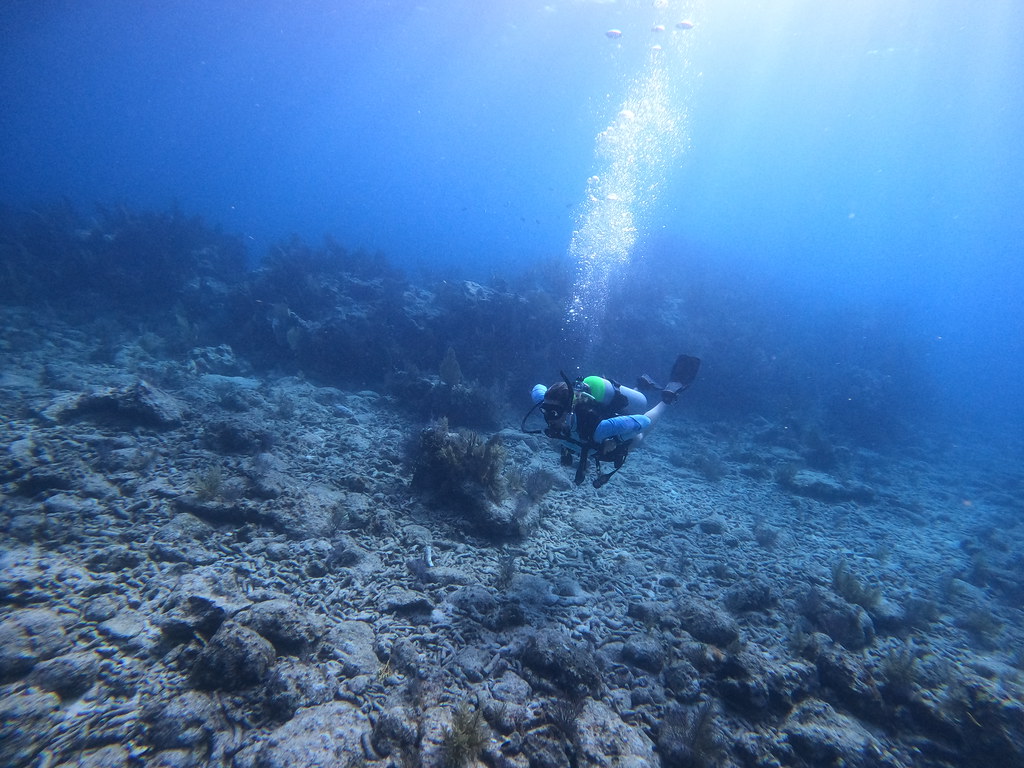 key largo dive shop l (12) DCIM\100GOPRO\GOPR1020.JPG Flickr