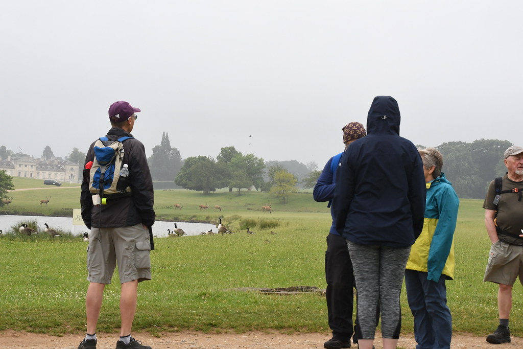 A moment from Beds, Bucks & Northants group's day of walks… Flickr