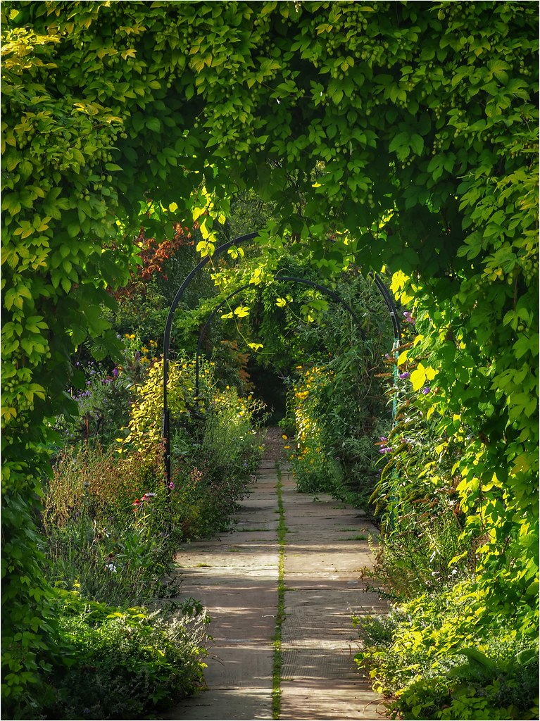 Ness Botanical Gardens, Cheshire paul ashton Flickr