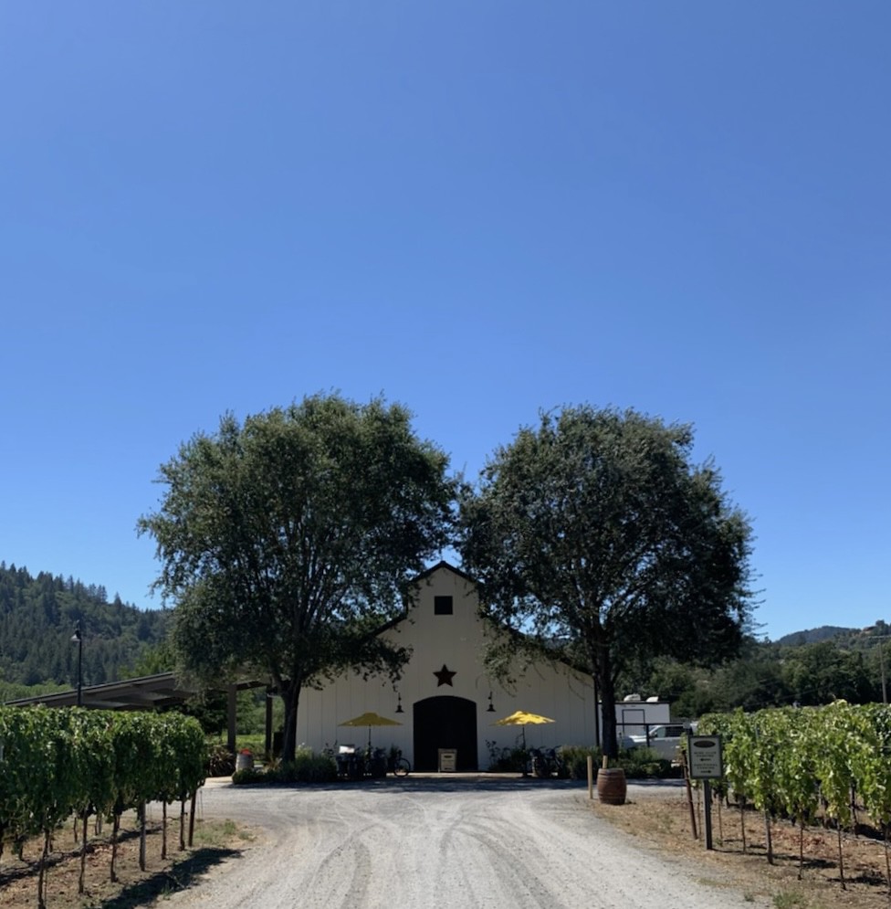 Amista Vineyards Amista Vineyards, Healdsburg, California Sarah