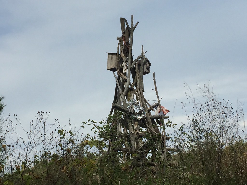 Lions camp rosholt Wisconsin miscellaneous probably duplic… Flickr
