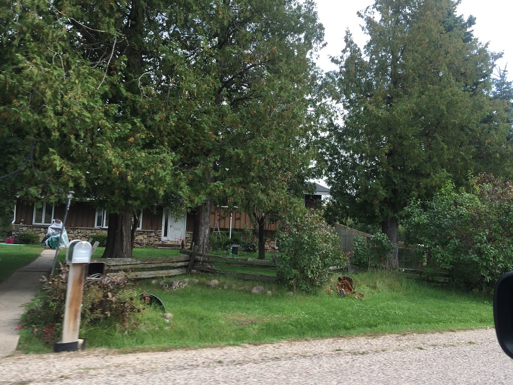 Lions camp rosholt Wisconsin miscellaneous probably duplic… Flickr