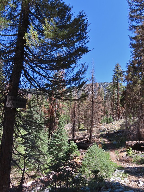 Trail Gulch and Long Gulch Lakes Loop 08/25/2022 wanderingyuncks