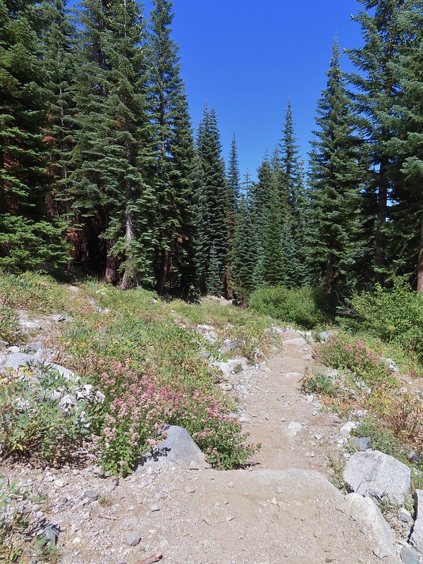 Trail Gulch and Long Gulch Lakes Loop 08/25/2022 wanderingyuncks