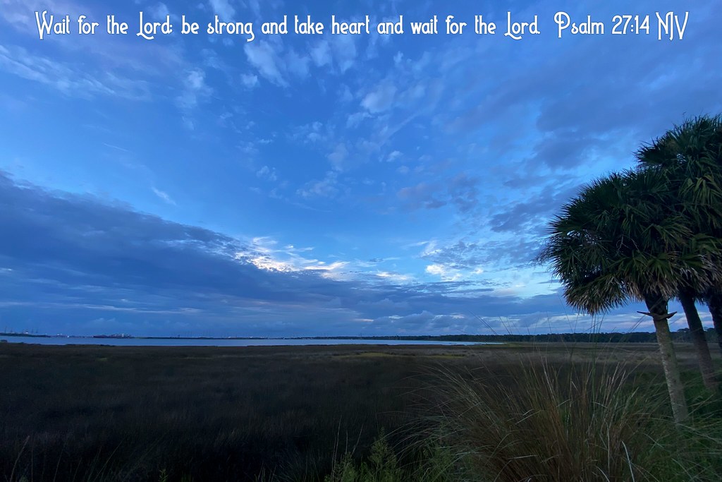 Mill Cove photographed from Holly Oaks, Jacksonville, Fl… Flickr