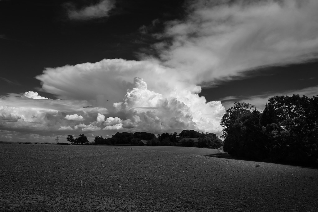 Stormbringer Gotan Da Flickr