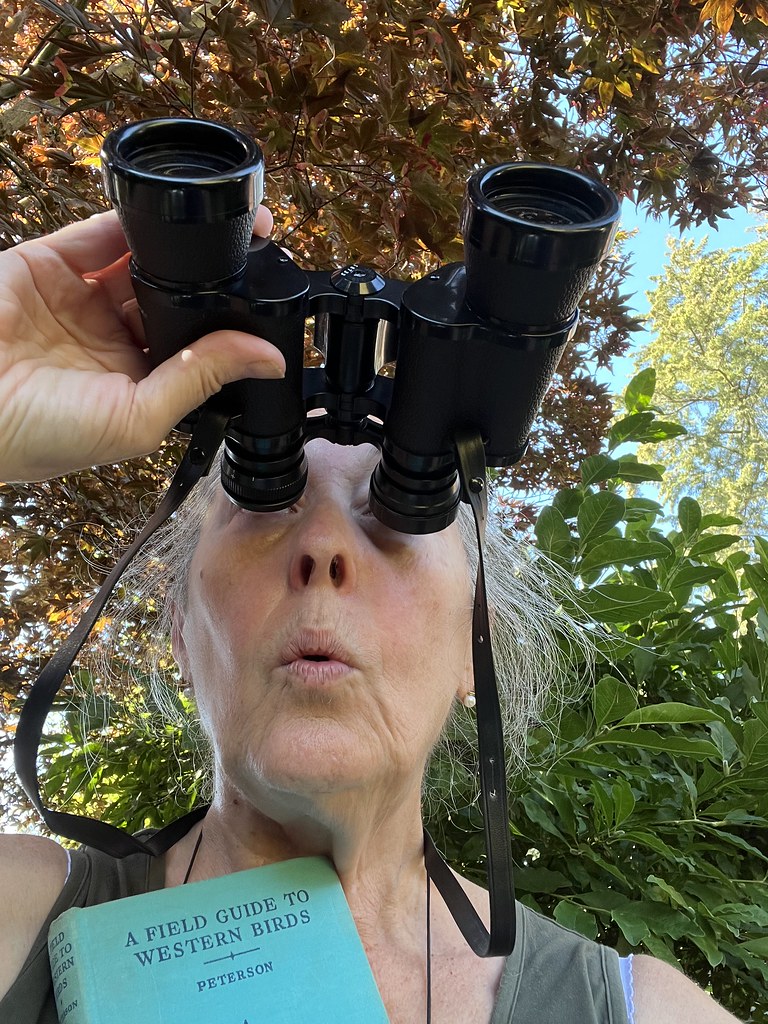 Gemelos One word for binoculars in Spanish is "gemelos", w… Flickr