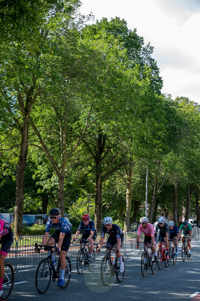 DSC_6699 Ross Hamilton Flickr