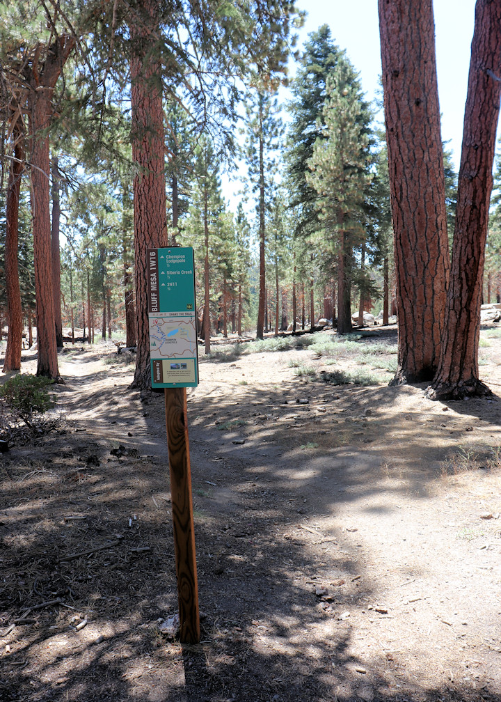 024 Junction Bluff Mesa Road And Champion Lodgepole Trail Flickr