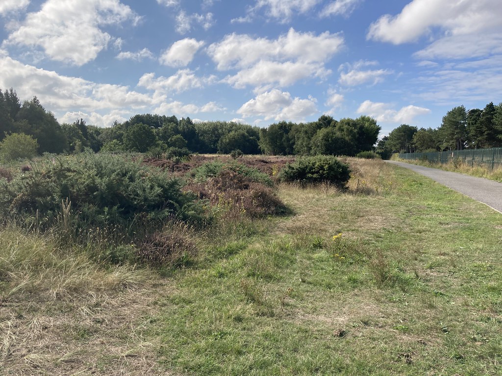 The Triangle Dune Heath Natalie J. Hunt Flickr
