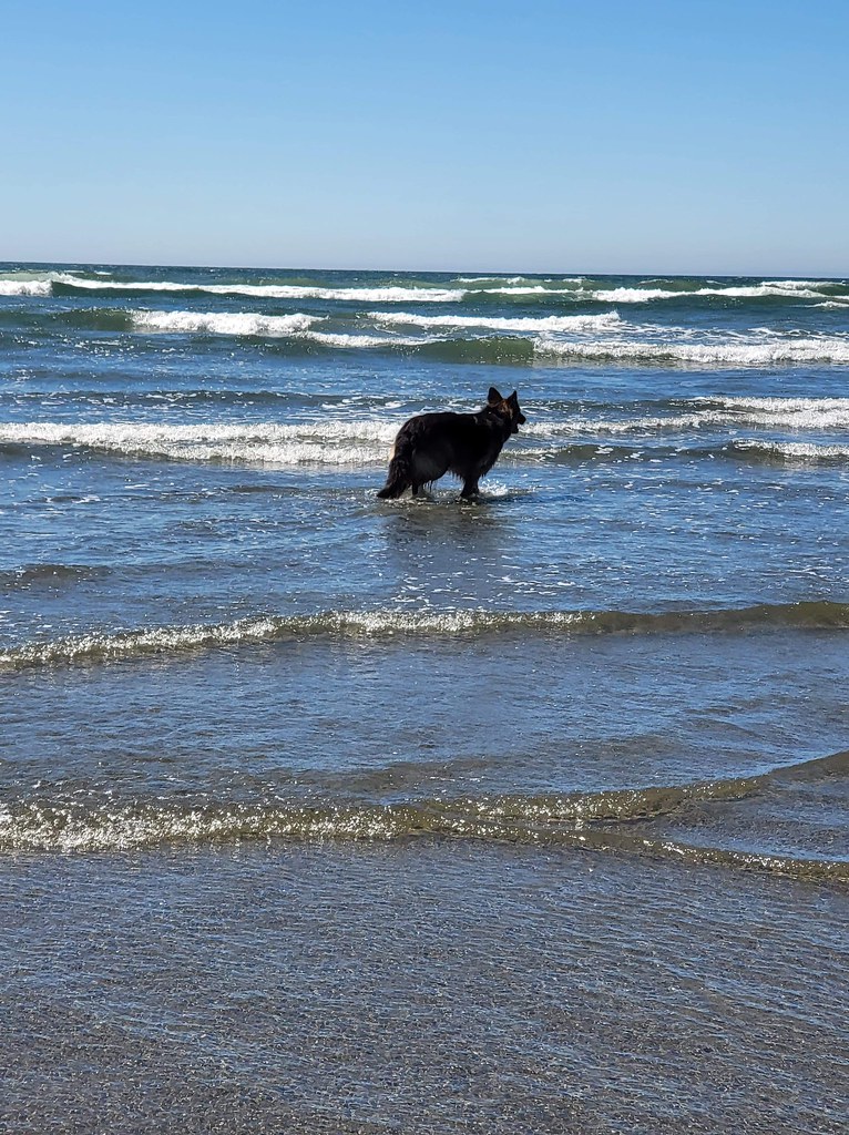 Ocean Shores Beach Vacation 2022 Copalis Beach, Ocean Shor… Flickr
