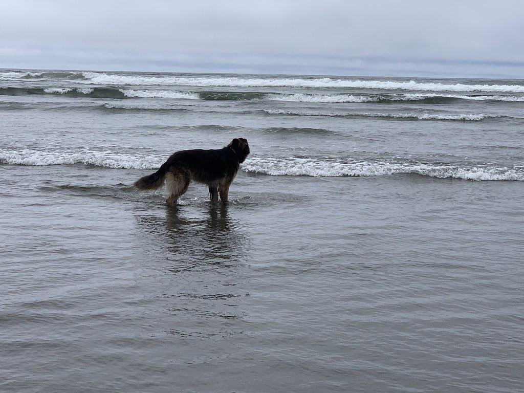 Ocean Shores Beach Vacation 2022 Copalis Beach, Ocean Shor… Flickr