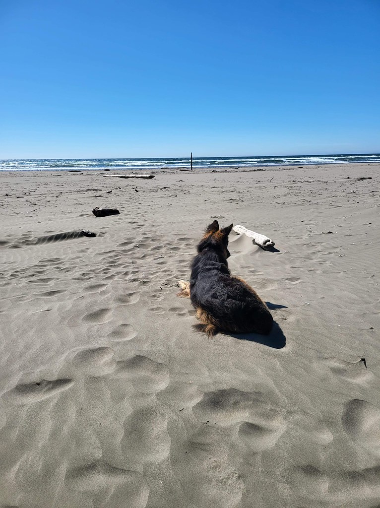 Ocean Shores Beach Vacation 2022 Copalis Beach, Ocean Shor… Flickr