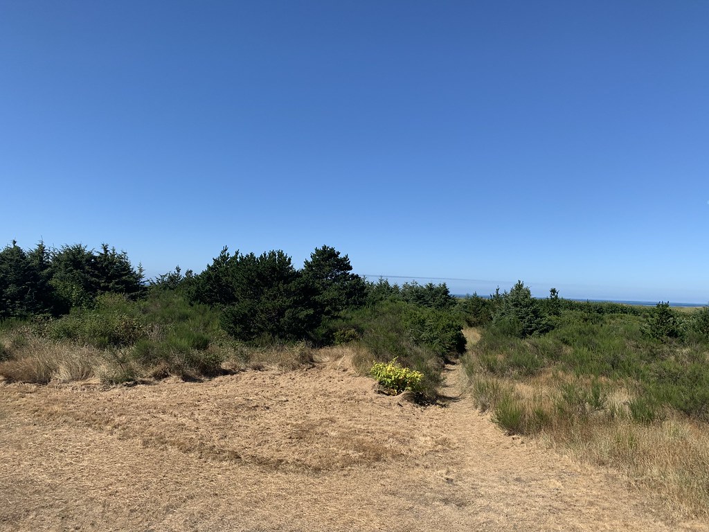 Ocean Shores Beach Vacation 2022 Copalis Beach, Ocean Shor… Flickr