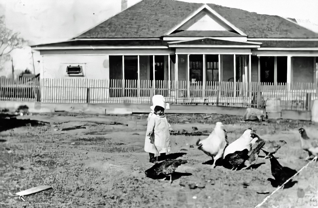 BOOK 4 3305 Shattuck Home HelenEnhanced Helen Shattuck… Flickr