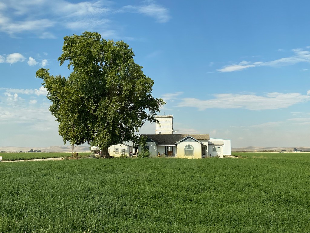 Albert and Lydia's House, Nyssa The house was directly acr… Flickr