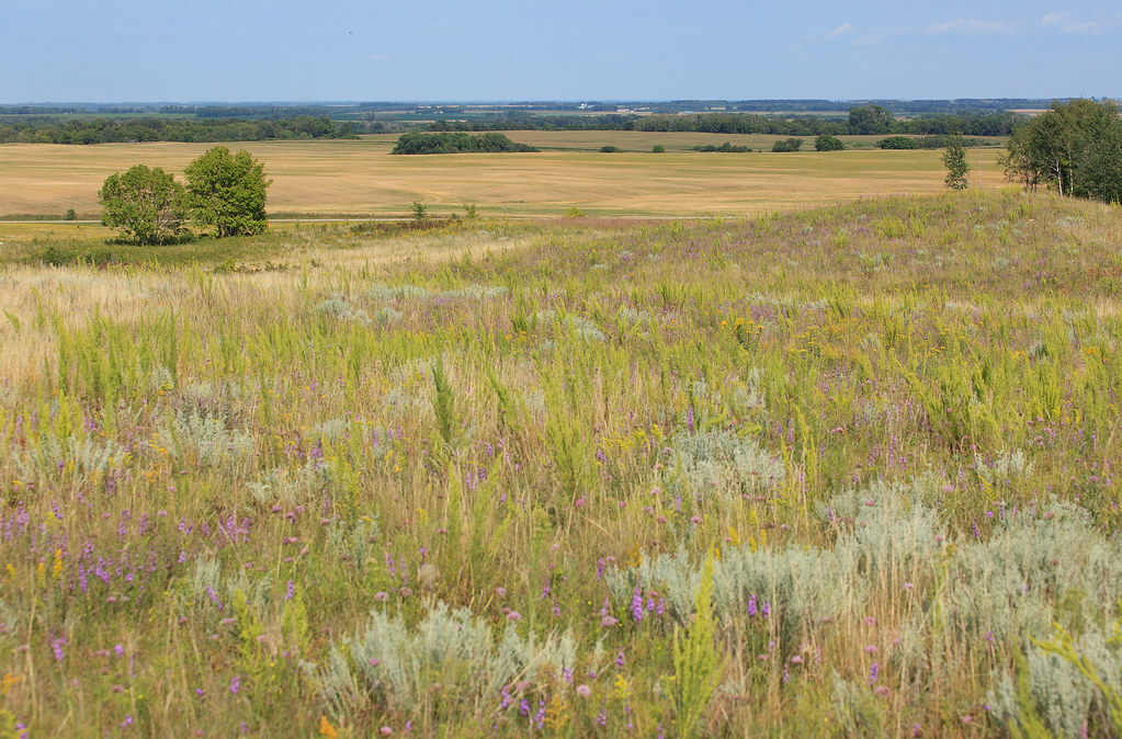 Frenchman's Bluff SNA Looking northeast from the top of Fr… Flickr