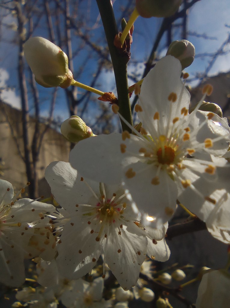 IMG_20220804_135918_1 Ignacio Zárate Flickr