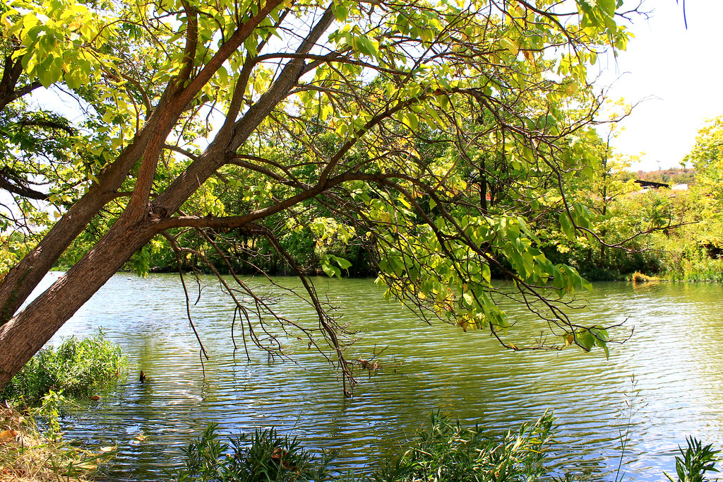 0459 Medicine Creek IMG_0459 2022 08 27 file Medicine Cree… Flickr