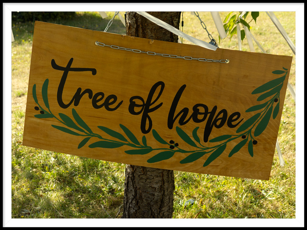 Tree of Hope Seen on a tree in Luton in the grounds of St … Flickr