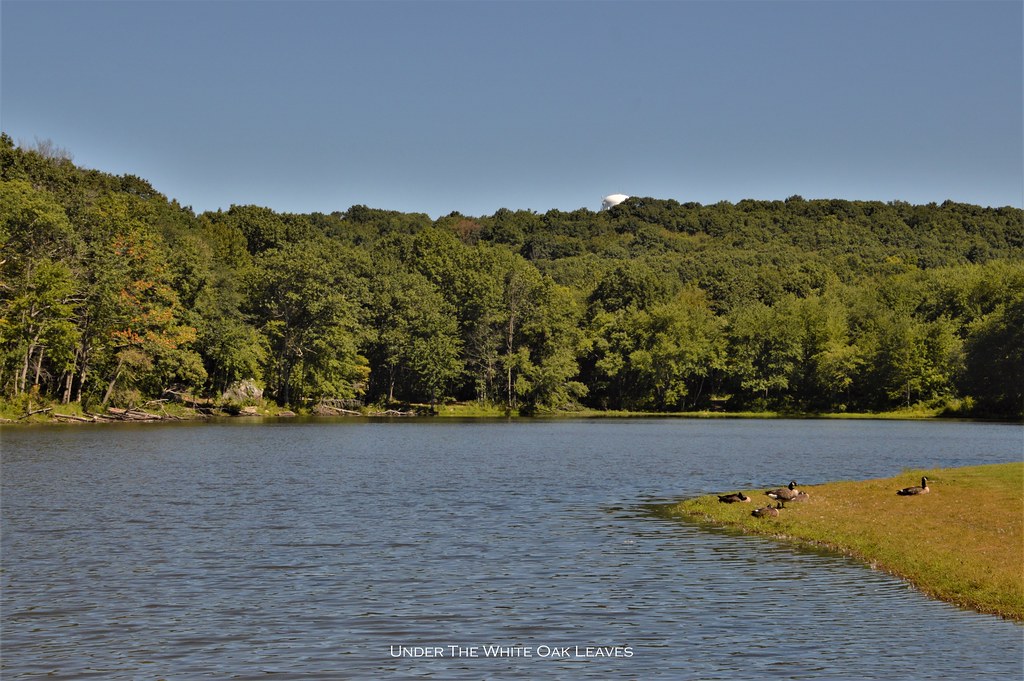 Under The White Oak Leaves Echo Lake in Watertown, Connect… Flickr