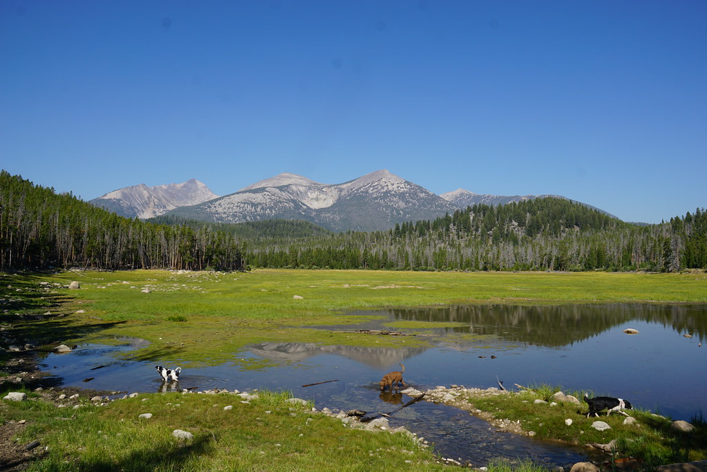 Pioneer Mountains, Montana