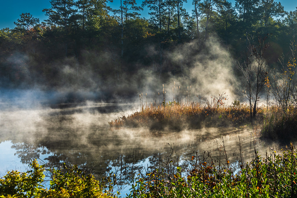 Foggy Pond Tim Cassidy Flickr