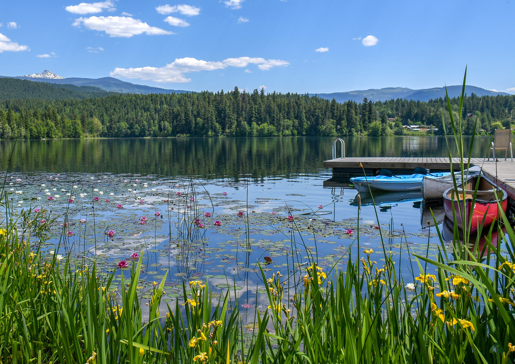 Painted turtle lake Paul Rollison Flickr