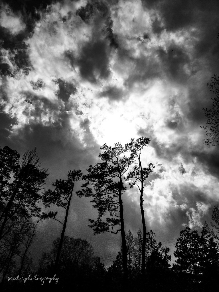 Trees and Clouds Trees in Traskwood, Arkansas Heidilore Flickr