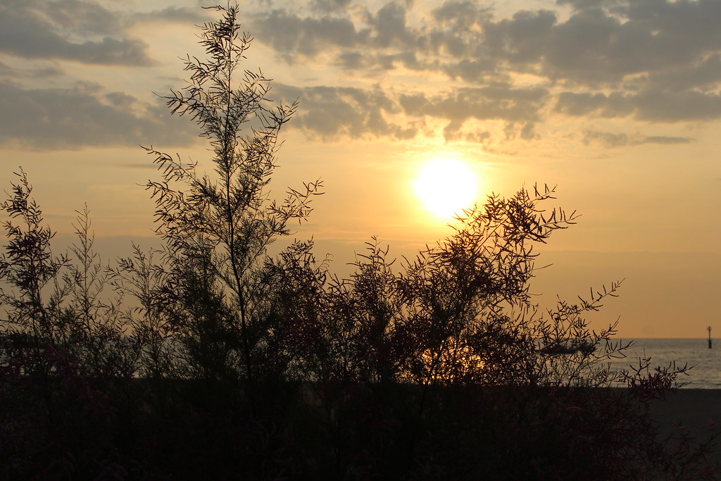 IMG_7739 Jérôme Chaboseau Flickr