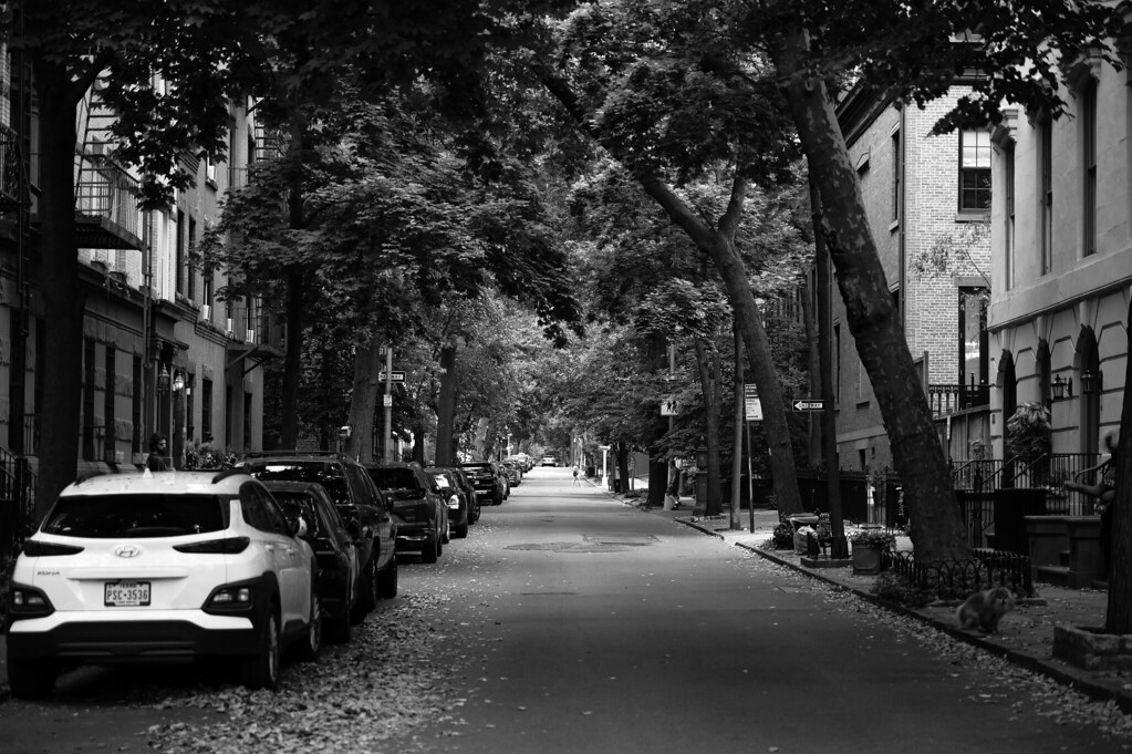 Willow St Brooklyn Looking down Willow St in Brooklyn Ethan Coston