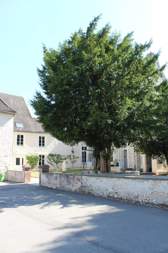 Institution SainteCroix Provins Jeudi 1er septembre 2022 Flickr